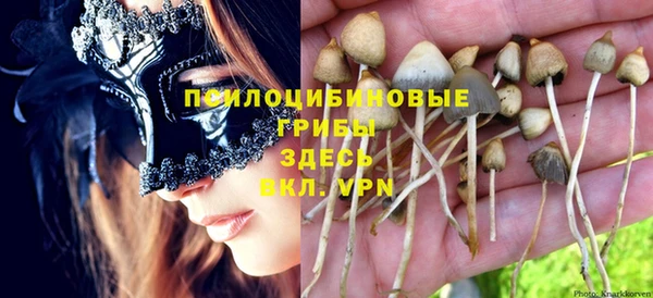 бошки Мегион