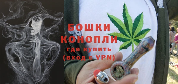 бошки Мегион