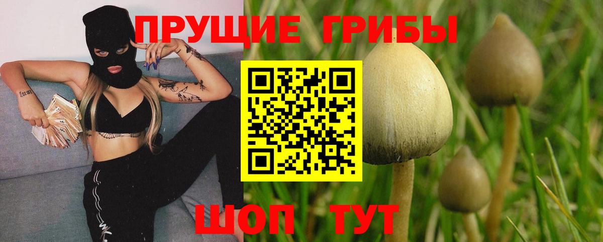 Псилоцибиновые грибы Psilocybe  Галлюциногенные грибы MAGIC MUSHROOMS  Троицк  Вход с VPN 